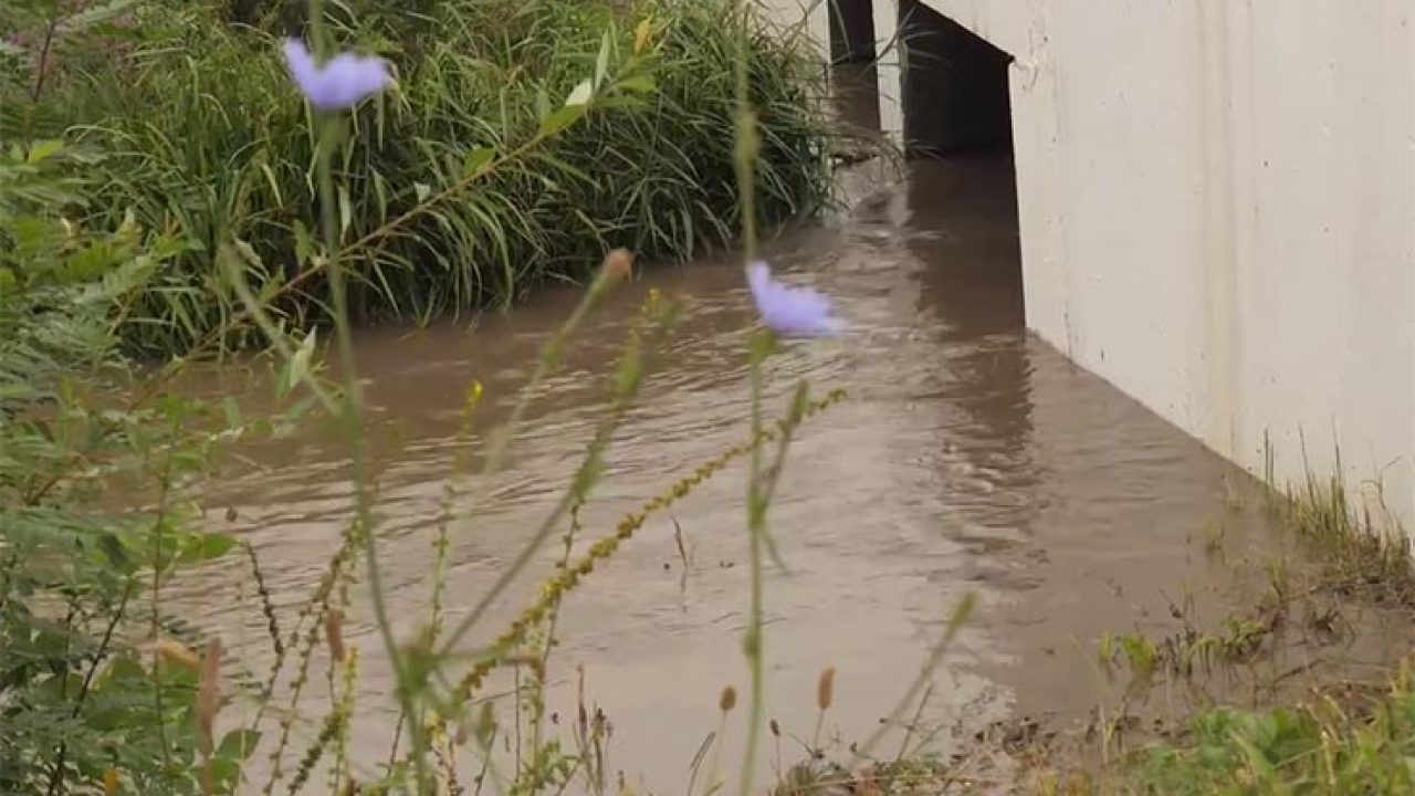 В Лабинском районе после сильных дождей поднялась вода в реках - 19  августа, 2022 Все новости, Происшествия «Кубань 24»