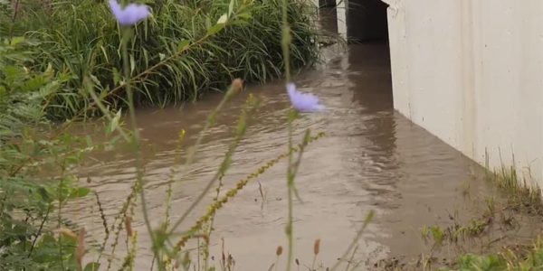 В Лабинском районе после сильных дождей поднялась вода в реках