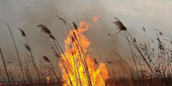 В Краснодарском крае до 15 августа продлили предупреждение по высокой пожароопасности
