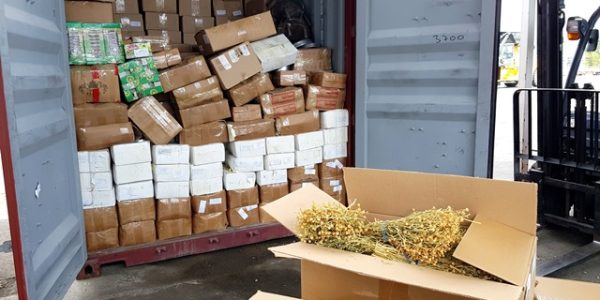 В Новороссийске в контейнере из Узбекистана обнаружили более тонны наркосодержащей травы
