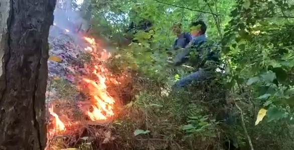 Появилось видео с места лесного пожара под Геленджиком