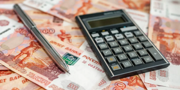 Мэрия Краснодара выделила более 10 млн рублей на реализацию социальных проектов НКО