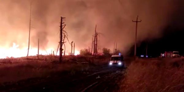 В Ростовской области выгорело уже 54 га леса