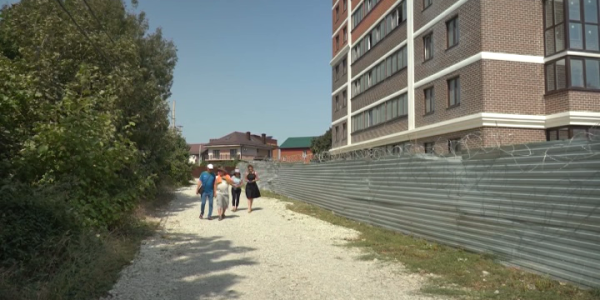 Жители Новороссийска выступили против строительства дороги на месте дубовой рощи