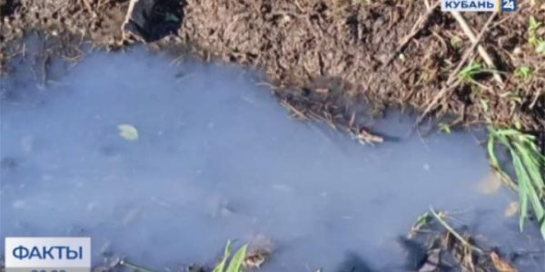 Жители Хадыженска пожаловались на невыносимый запах канализации