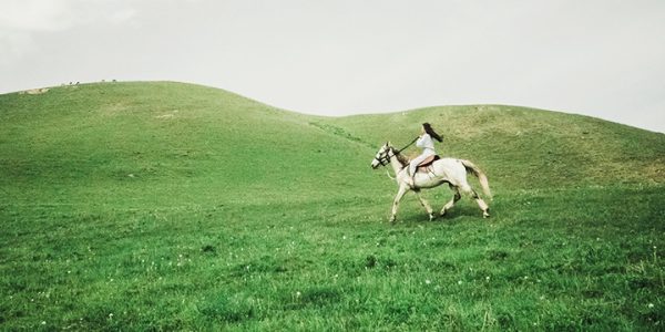 Конные прогулки в Краснодарском крае: 5 маршрутов для семейного отдыха