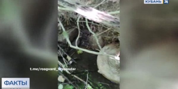 В Крымском районе сотрудники Росгвардии обследовали похожий на мину предмет