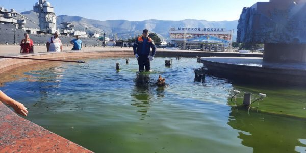 В Новороссийске спасатели помогли собаке выбраться из фонтана на набережной