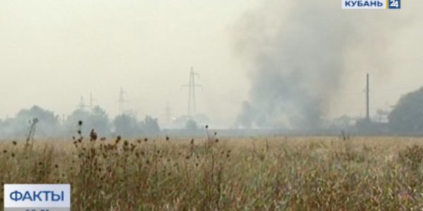 В Краснодарском крае из-за жары и сильного ветра ввели V уровень пожароопасности