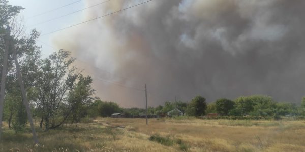 Огонь перекинулся на жилые дома: в Ростовской области тушат 30 гектаров леса