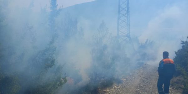 Пожарные более пяти часов боролись с огнем в Геленджикском лесничестве