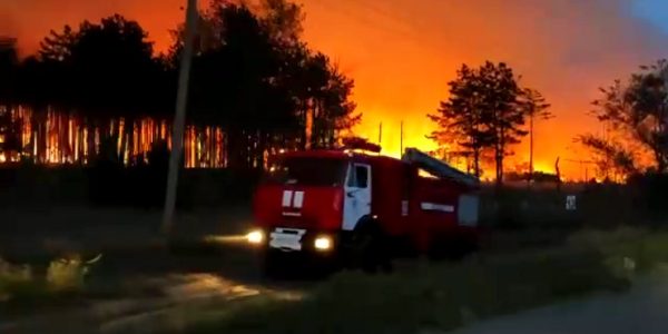 В Ростовской области горят 40 га леса