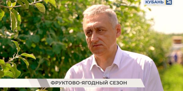 «Есть что сказать»: генеральный директор союза «Садоводы Кубани» Николай Щербаков