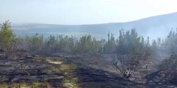 Пожар в Геленджикском лесничестве произошел из-за обрыва высоковольтной ЛЭП