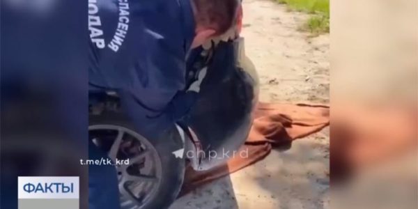 В Краснодаре спасатели достали змею, заползшую под бампер автомобиля