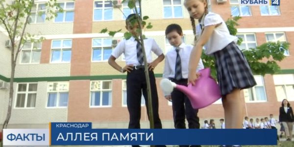 В Краснодаре высадили аллею в память о детях, погибших на Донбассе