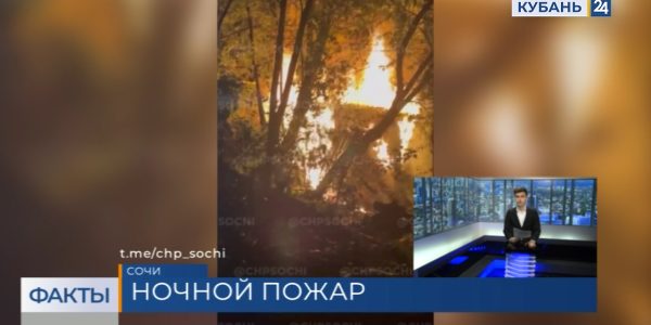 В Сочи загорелся сарай с мусором на улице Войкова