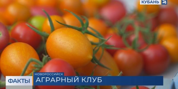 Краснодарский край вошел в тройку регионов-лидеров страны по производству тепличных овощей