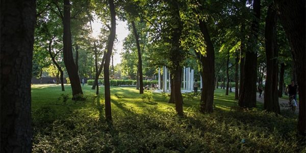 С 2017 года в Краснодарском крае благоустроили более 1,2 тыс. зеленых зон и дворов