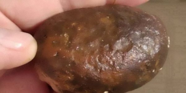 В Анапе на Лысой горе нашли метеорит весом 230 граммов