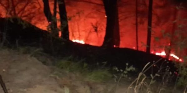 В Туапсинском районе потушили лесной пожар на мысе Кадош