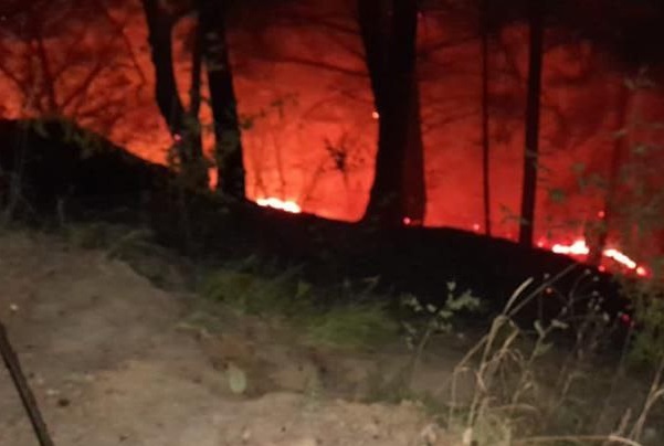 В Туапсинском районе потушили лесной пожар на мысе Кадош