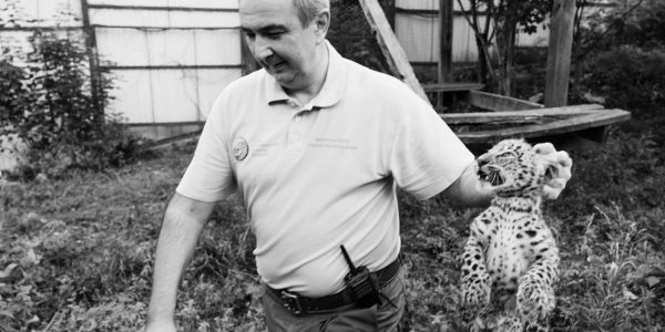 Ушел из жизни «папа» переднеазиатских леопардов Умар Семенов