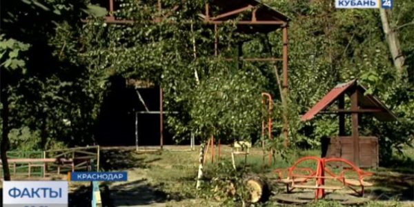 В Краснодаре в одном из жилых комплексов спилили более 30 деревьев