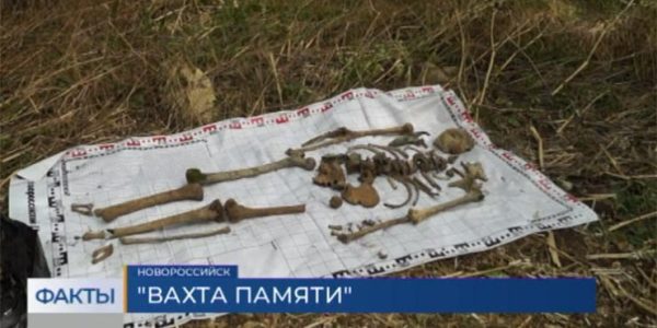 Под Новороссийском на склоне горы Сахарная голова обнаружили останки советских солдат