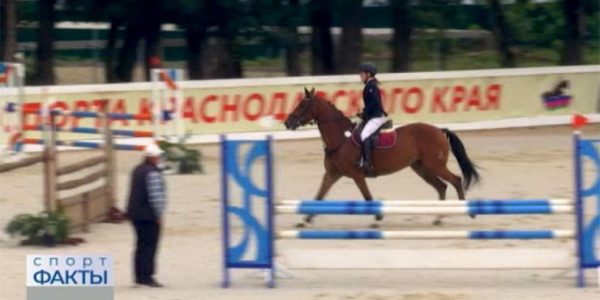 В Динском районе завершился Кубок губернатора по конному спорту в дисциплине конкур