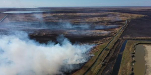 В Приморско-Ахтарском районе на горящие плавни с вертолета сбросили 10 тонн воды | «Факты»
