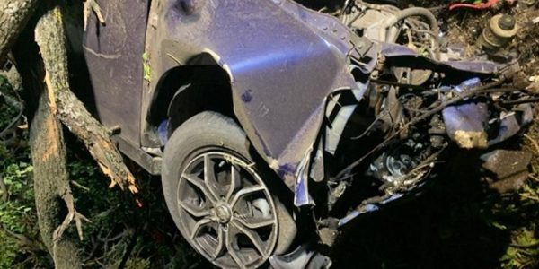 В Новокубанском районе иномарка врезалась в дерево, водитель и пассажир погибли