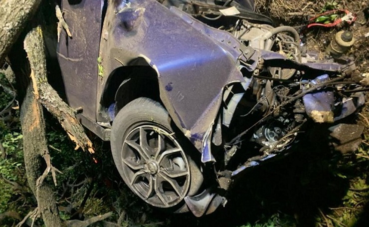 В Новокубанском районе иномарка врезалась в дерево, водитель и пассажир погибли