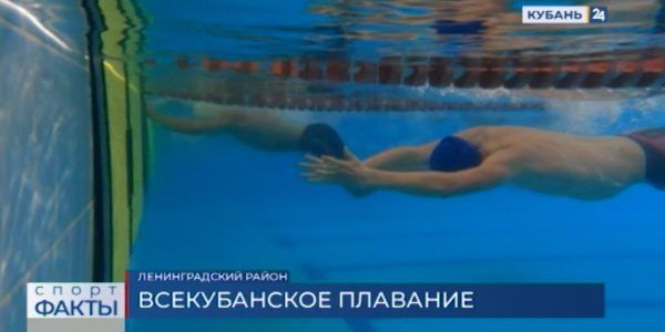 В станице Ленинградской прошел чемпионат и первенство Кубани по плаванию на короткой воде