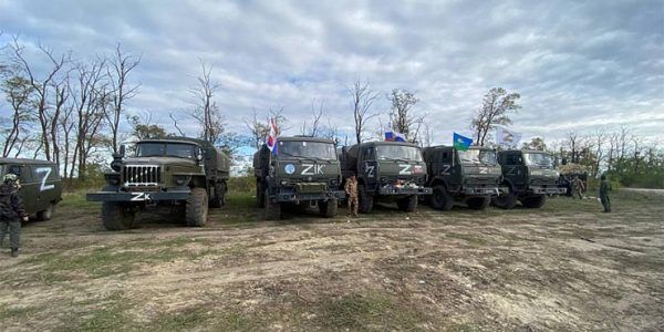 Более 2,8 тыс. жителей Кубани записались добровольцами для участия в СВО через «Госуслуги»