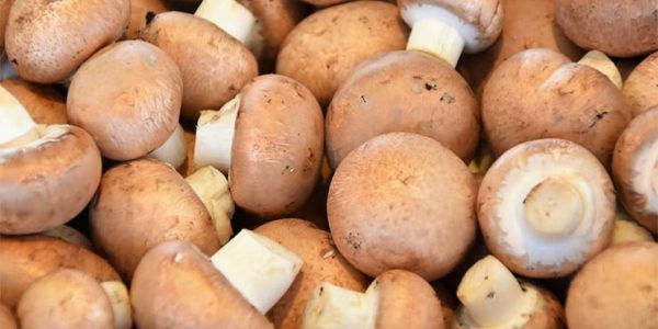В Туапсинском районе начнут штрафовать за торговлю грибами вдоль трасс