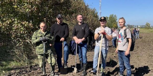 Погода в Белореченске