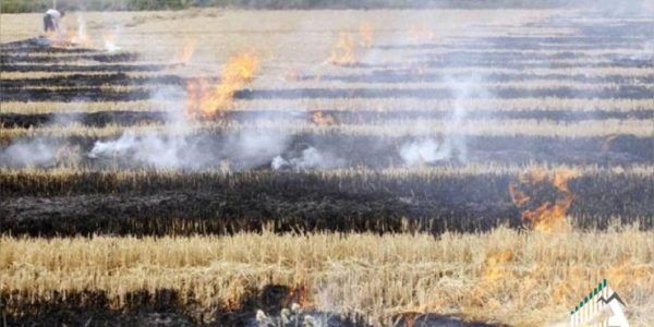 Глава Абинского района объяснил происхождение густого дыма над полями