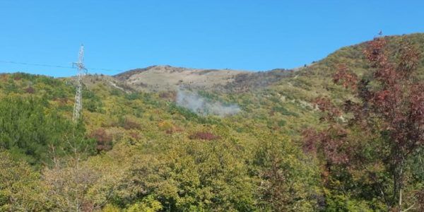 В Геленджике потушили лесной пожар в районе «Сафари парка»