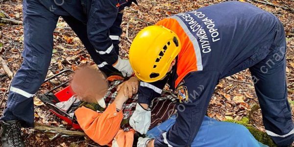 В Сочи спасатели помогли пожилому мужчине с эпилептическим припадком от укуса осы