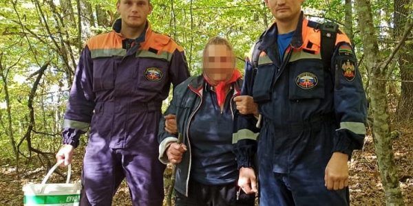 На Кубани за выходные дни в лесу заблудились четверо грибников