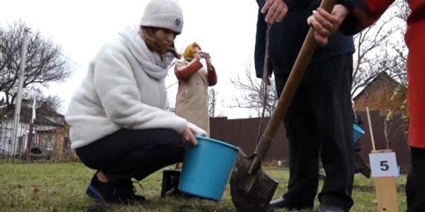 В станице Ленинградской к 115-летию школы заложили яблоневый сад