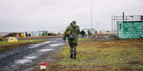 На Кубани более 3,5 тыс. человек через «Госуслуги» записались добровольцами для участия в СВО