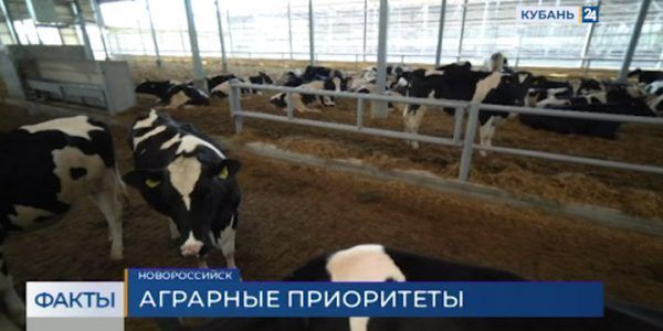 Депутат ЗСК Сергей Орленко: мы достигли хороших результатов в животноводстве, но отдыхать рано