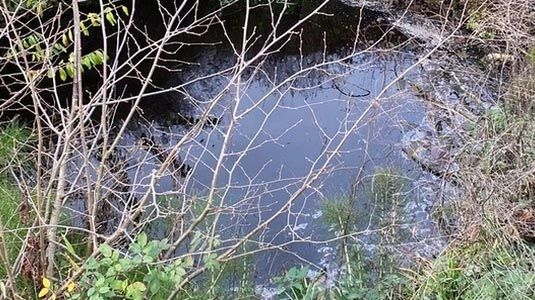 В Новороссийске обнаружили загрязнение устья реки Цемесс возле мусорного полигона