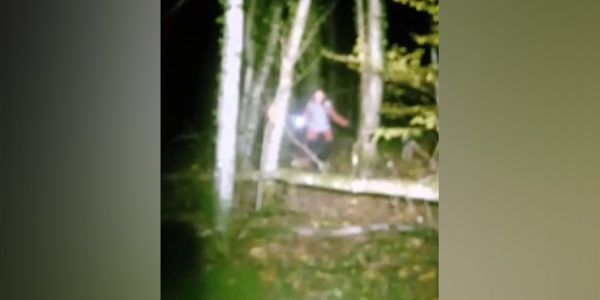 В Краснодарском крае в лесу заблудилась туристка с двумя собаками