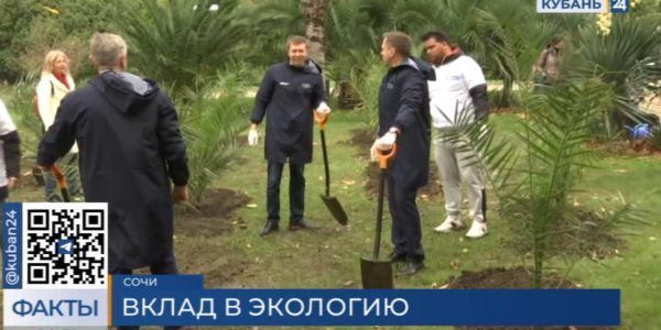 В центре Сочи сотрудники «Газпрома» высадили десятки деревьев