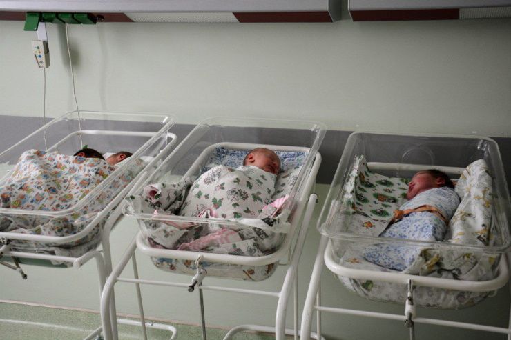 В Краснодарском крае с начала года благодаря ЭКО родились более 1,1 тыс. детей
