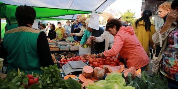 В Краснодарском крае в ноябре изучат конкуренцию на товарных рынках