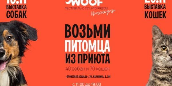 В Краснодаре 19 и 20 ноября пройдет благотворительный фестиваль WOOF
